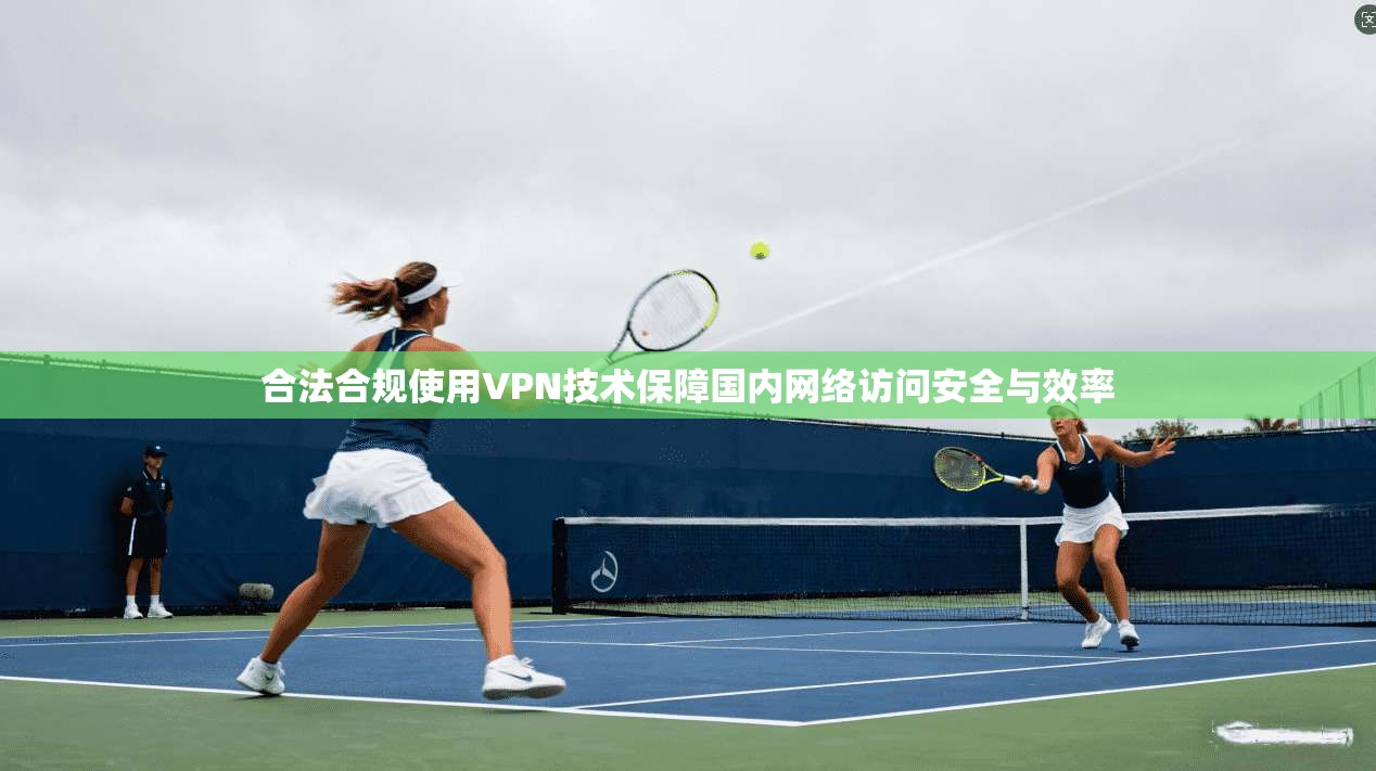 合法合规使用VPN技术保障国内网络访问安全与效率