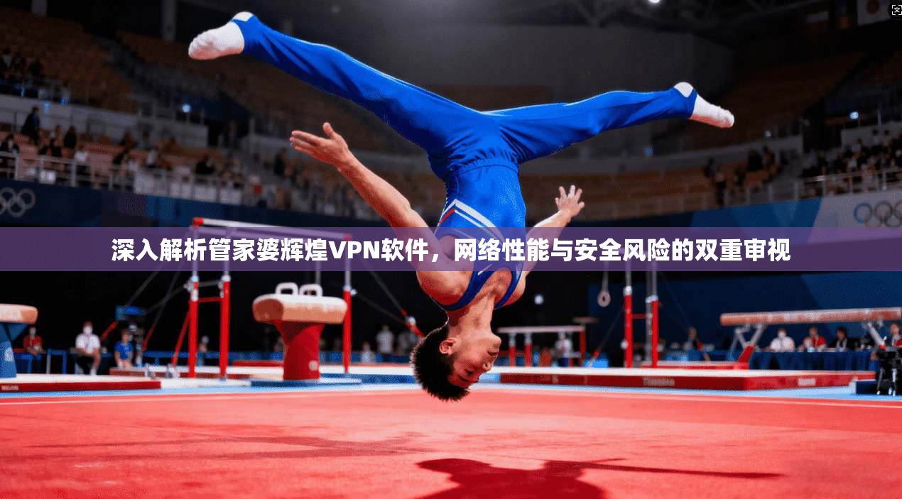 深入解析管家婆辉煌VPN软件，网络性能与安全风险的双重审视
