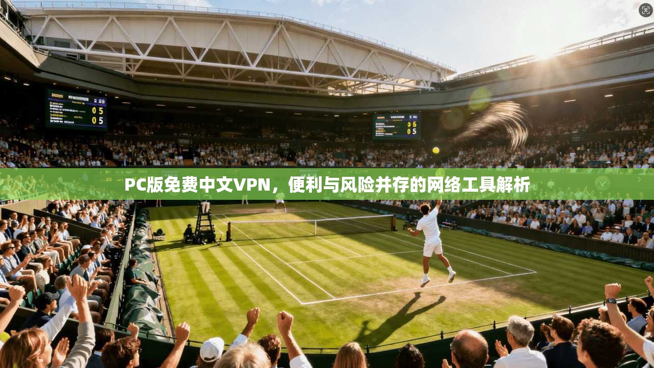 PC版免费中文VPN，便利与风险并存的网络工具解析