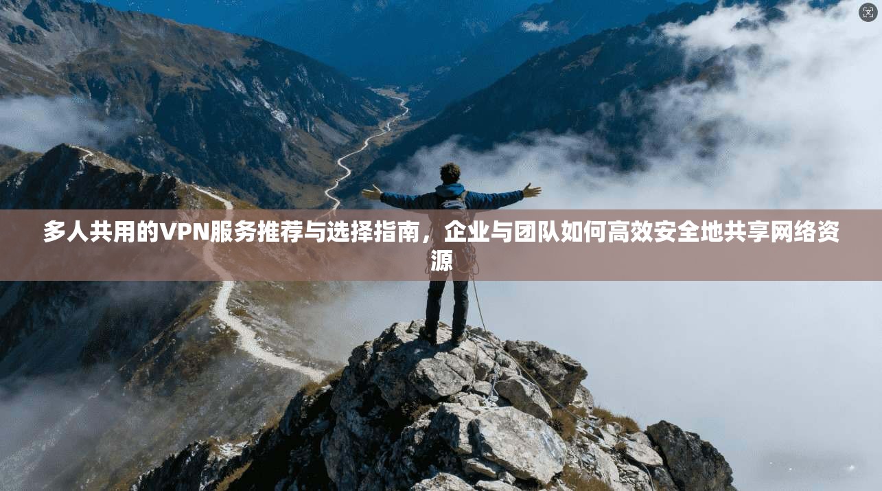 多人共用的VPN服务推荐与选择指南，企业与团队如何高效安全地共享网络资源
