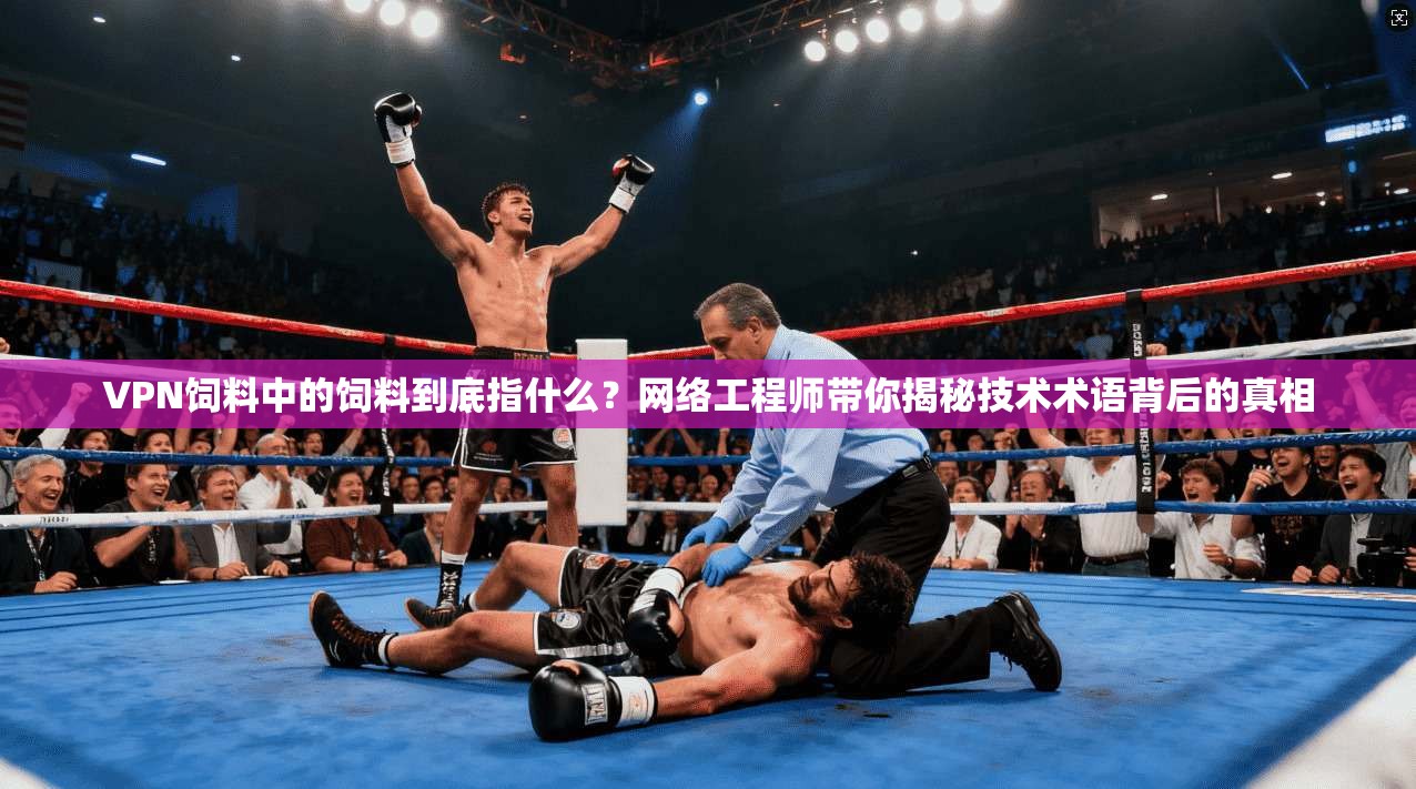 VPN饲料中的饲料到底指什么？网络工程师带你揭秘技术术语背后的真相