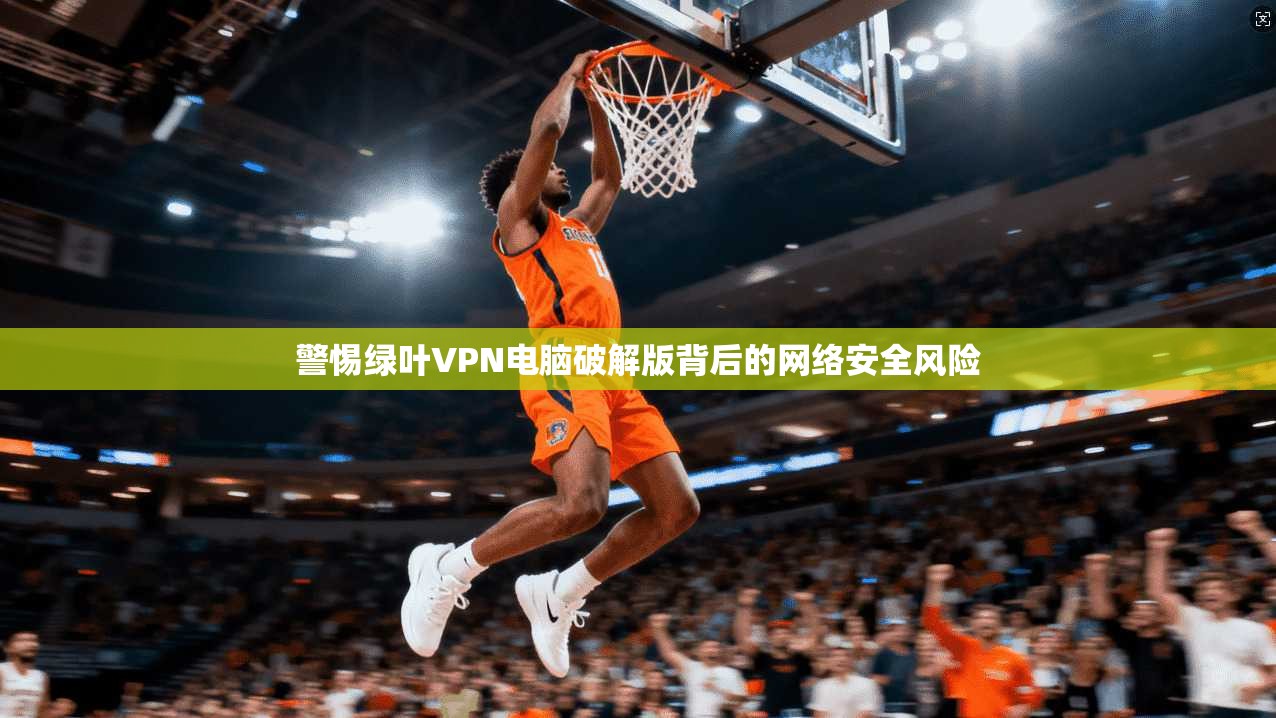 警惕绿叶VPN电脑破解版背后的网络安全风险