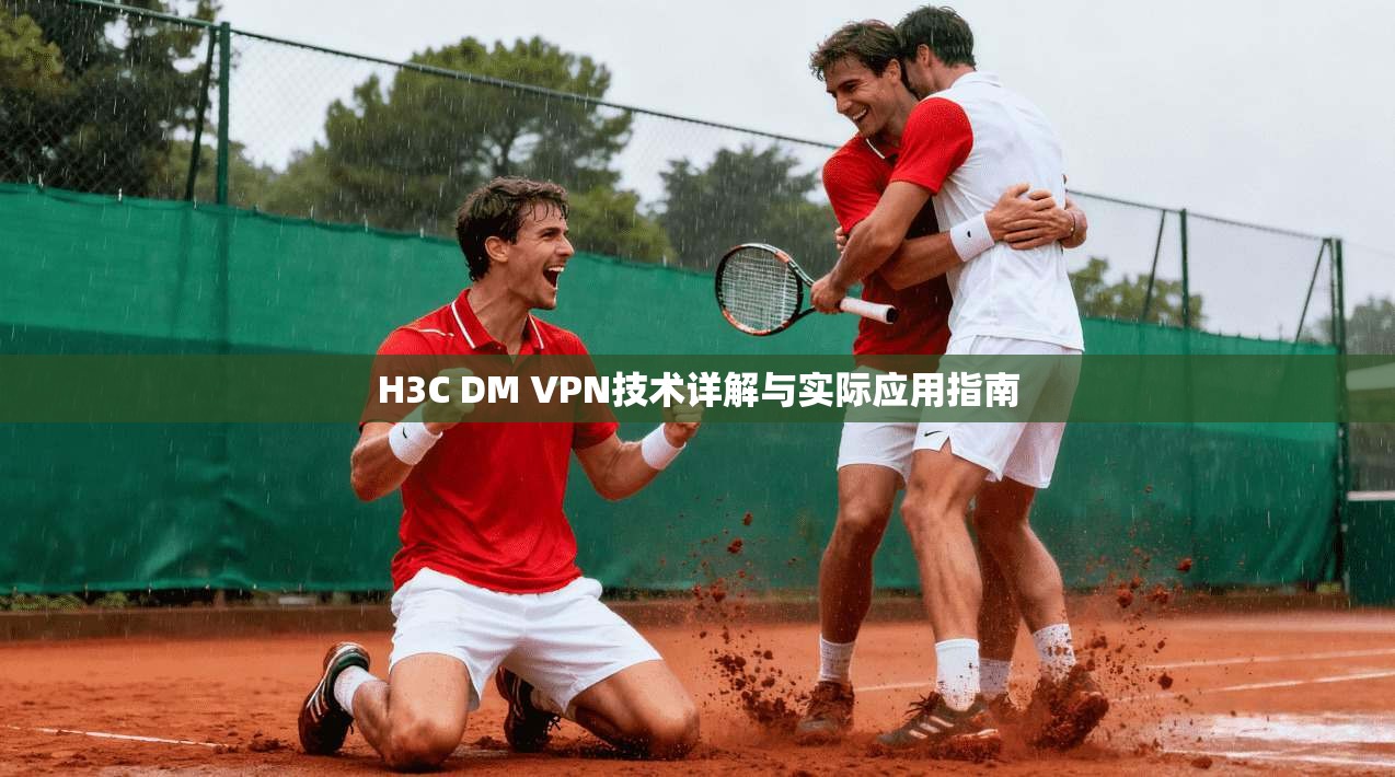 H3C DM VPN技术详解与实际应用指南