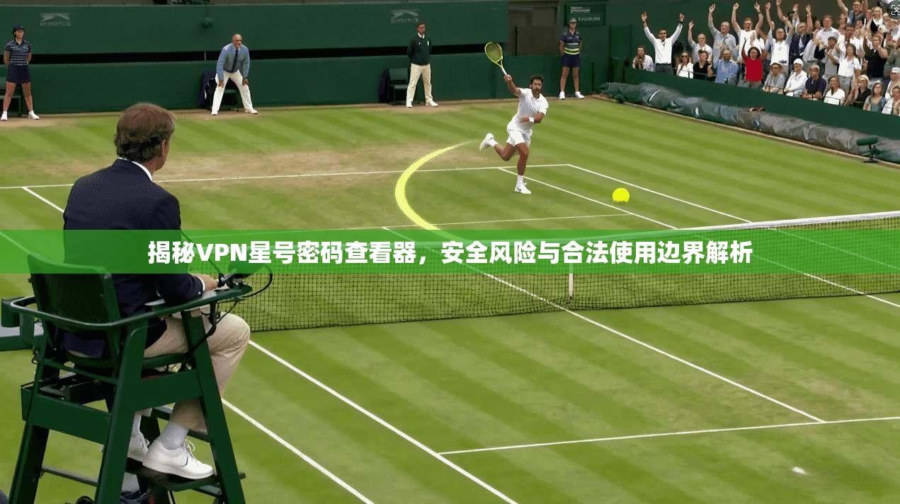 揭秘VPN星号密码查看器，安全风险与合法使用边界解析