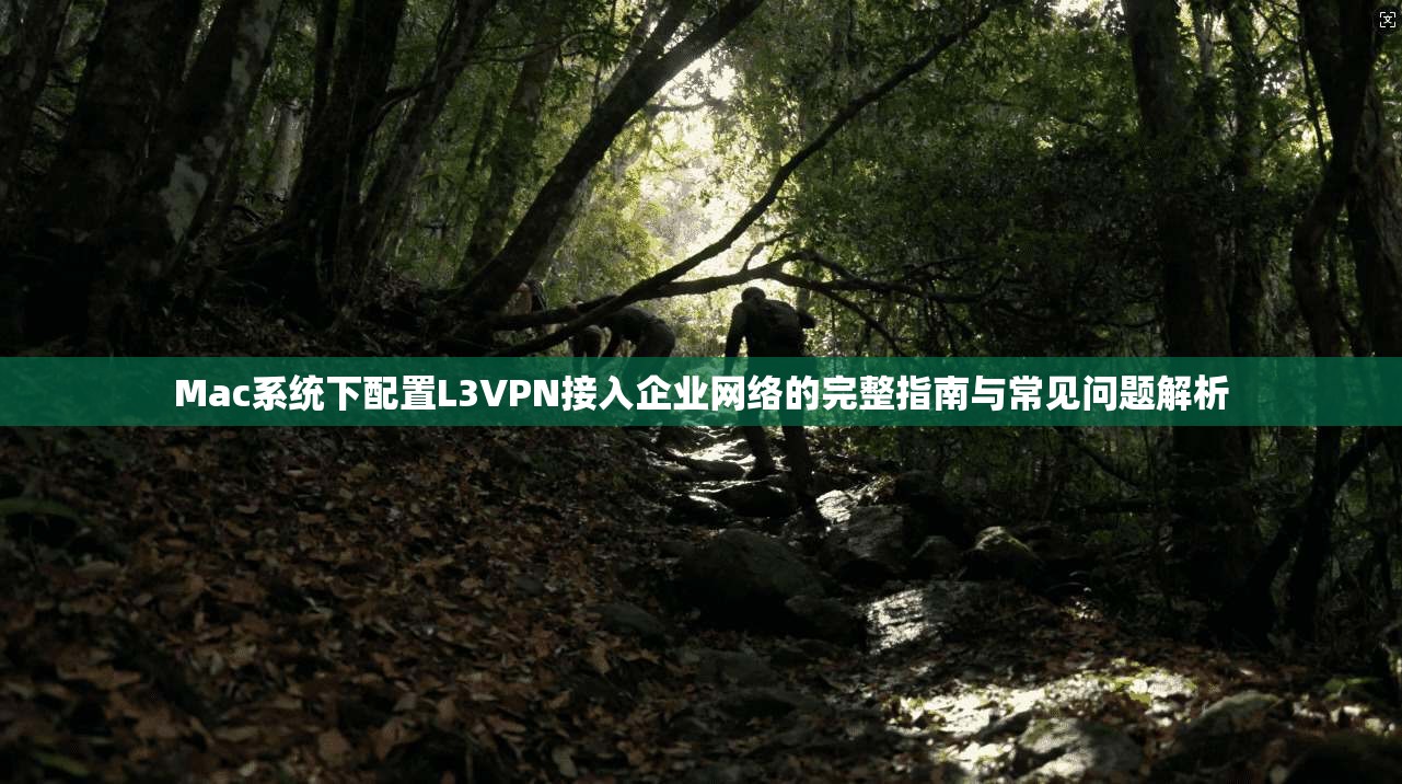 Mac系统下配置L3VPN接入企业网络的完整指南与常见问题解析