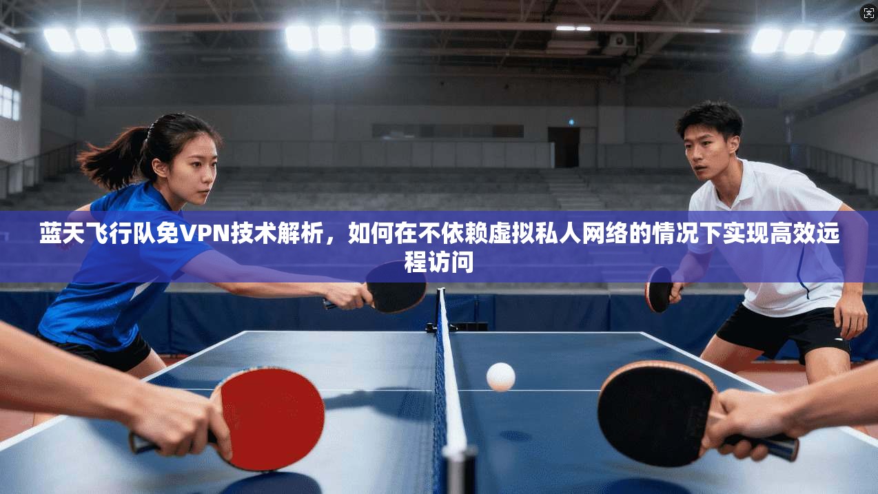 蓝天飞行队免VPN技术解析，如何在不依赖虚拟私人网络的情况下实现高效远程访问