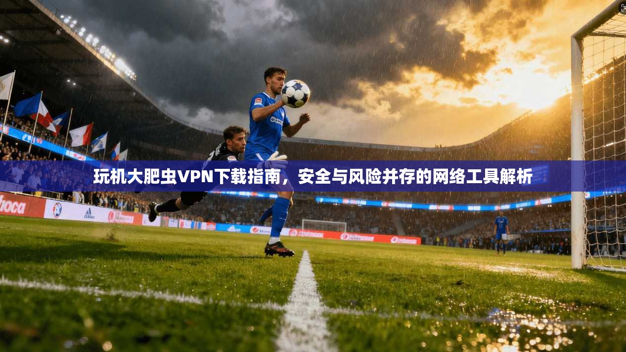 玩机大肥虫VPN下载指南,安全与风险并存的网络工具解析