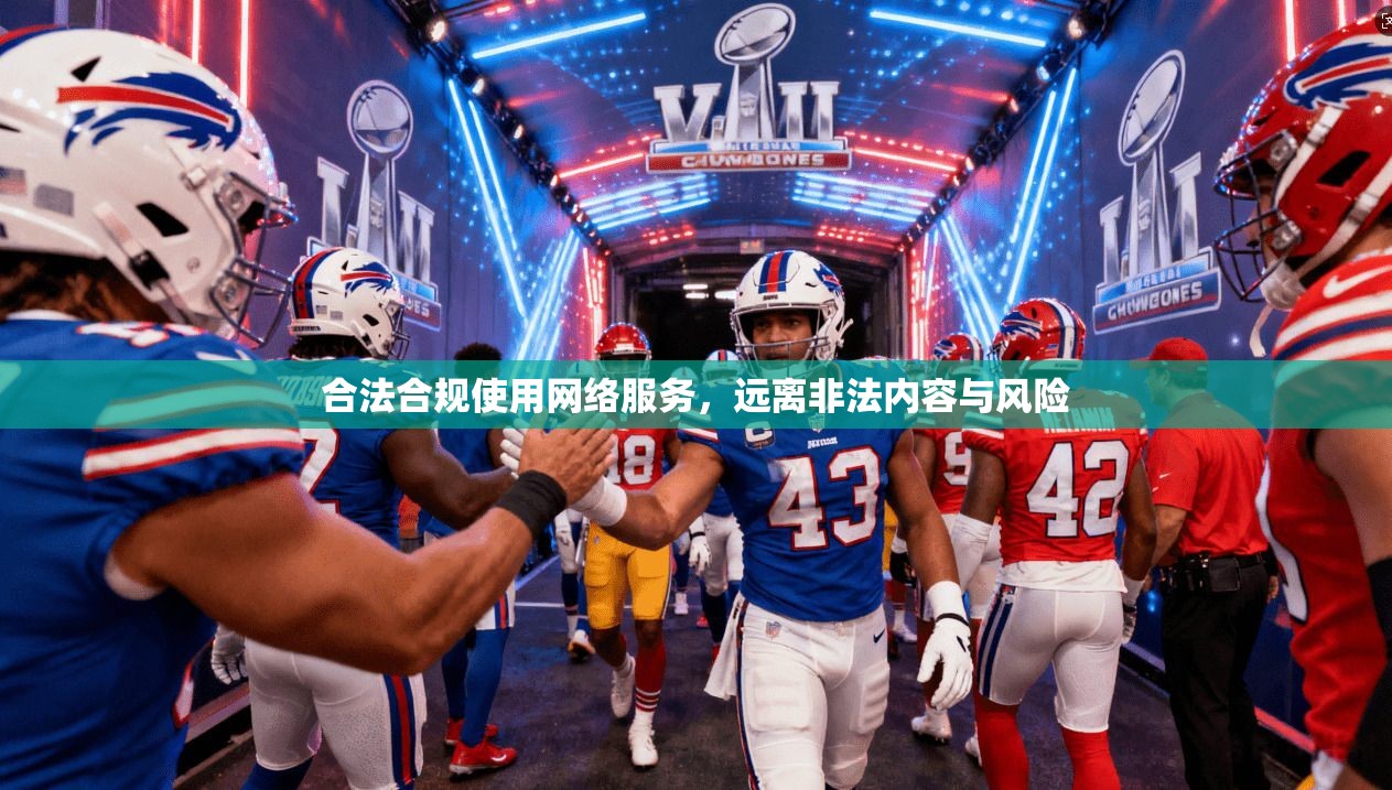 合法合规使用网络服务，远离非法内容与风险