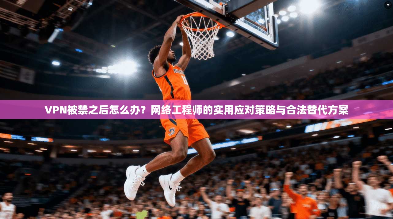 VPN被禁之后怎么办？网络工程师的实用应对策略与合法替代方案