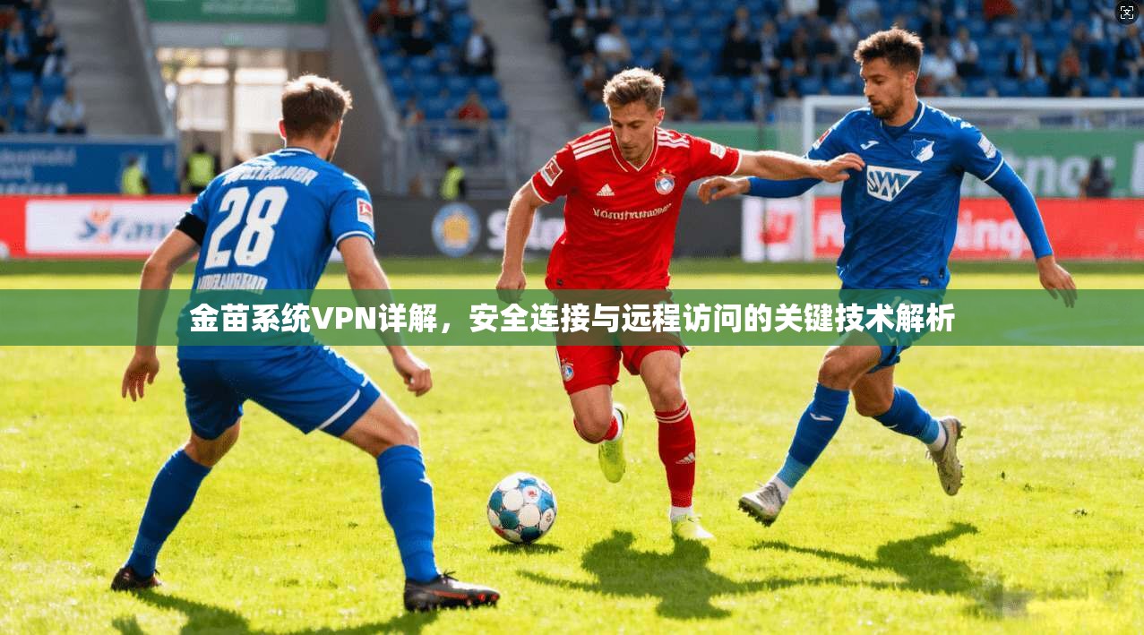 金苗系统VPN详解，安全连接与远程访问的关键技术解析