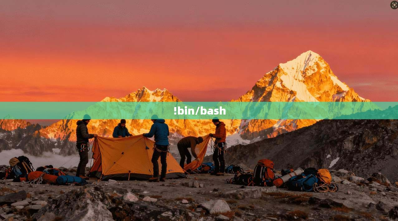 !bin/bash