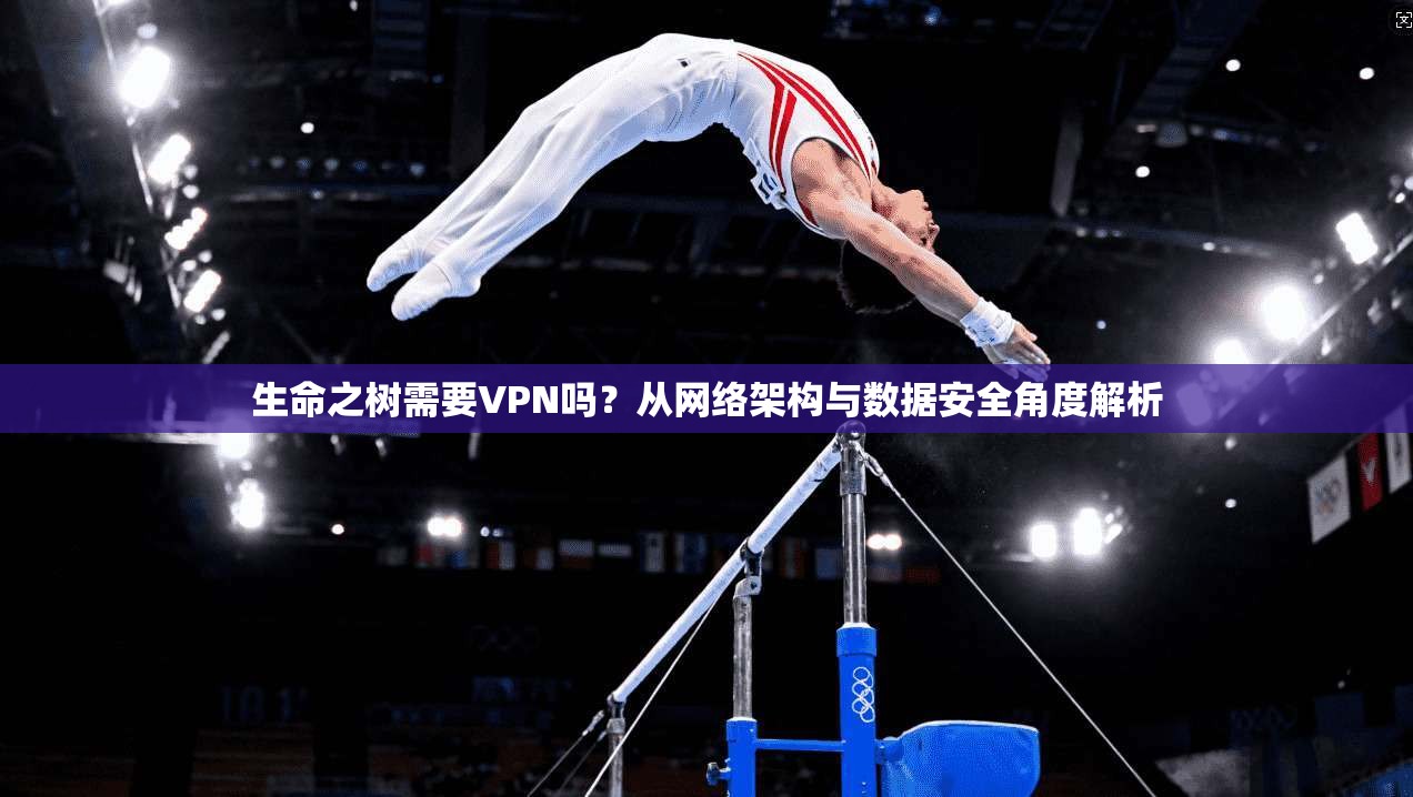 生命之树需要VPN吗？从网络架构与数据安全角度解析