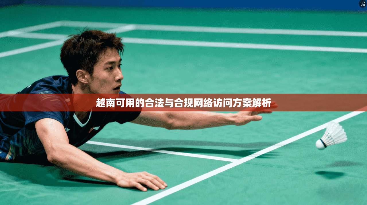 越南可用的合法与合规网络访问方案解析