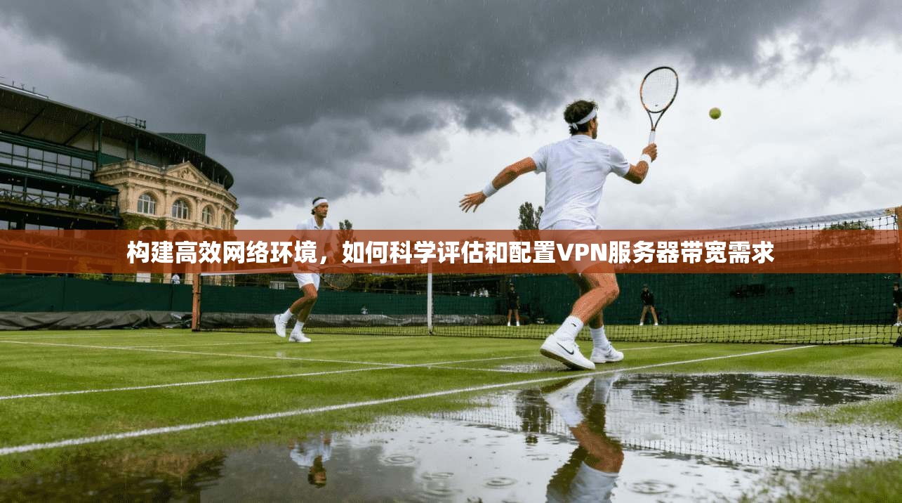 构建高效网络环境，如何科学评估和配置VPN服务器带宽需求