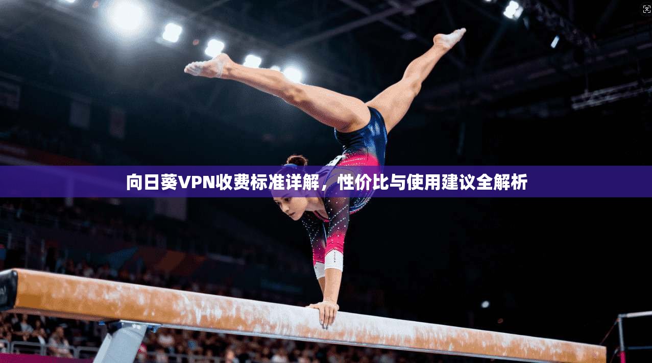 向日葵VPN收费标准详解,性价比与使用建议全解析