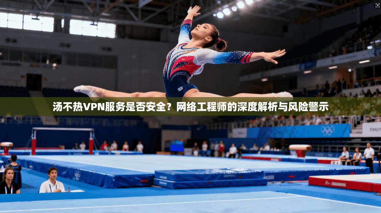 汤不热VPN服务是否安全？网络工程师的深度解析与风险警示