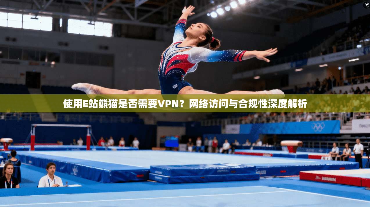 使用E站熊猫是否需要VPN？网络访问与合规性深度解析