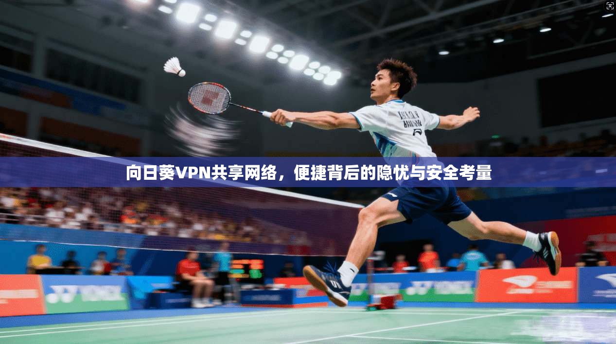 向日葵VPN共享网络，便捷背后的隐忧与安全考量