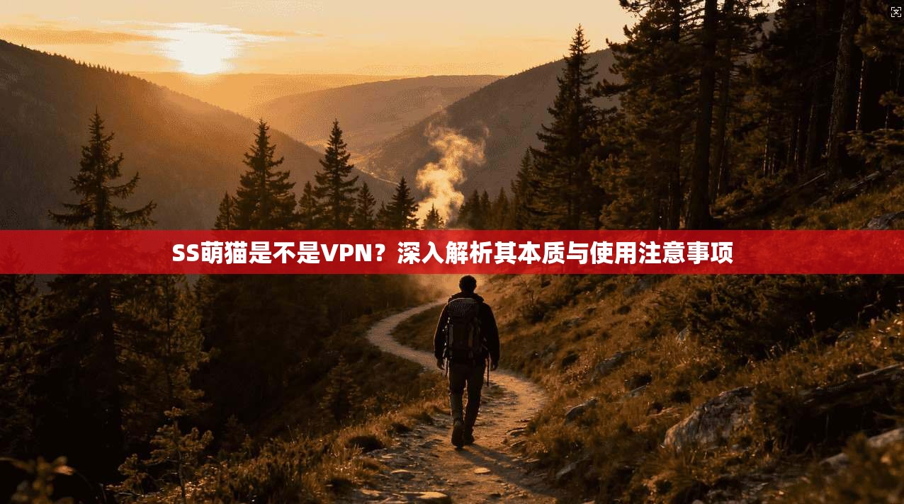 SS萌猫是不是VPN?深入解析其本质与使用注意事项