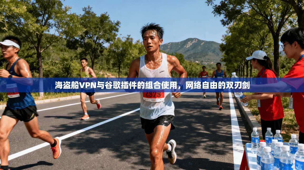 海盗船VPN与谷歌插件的组合使用，网络自由的双刃剑