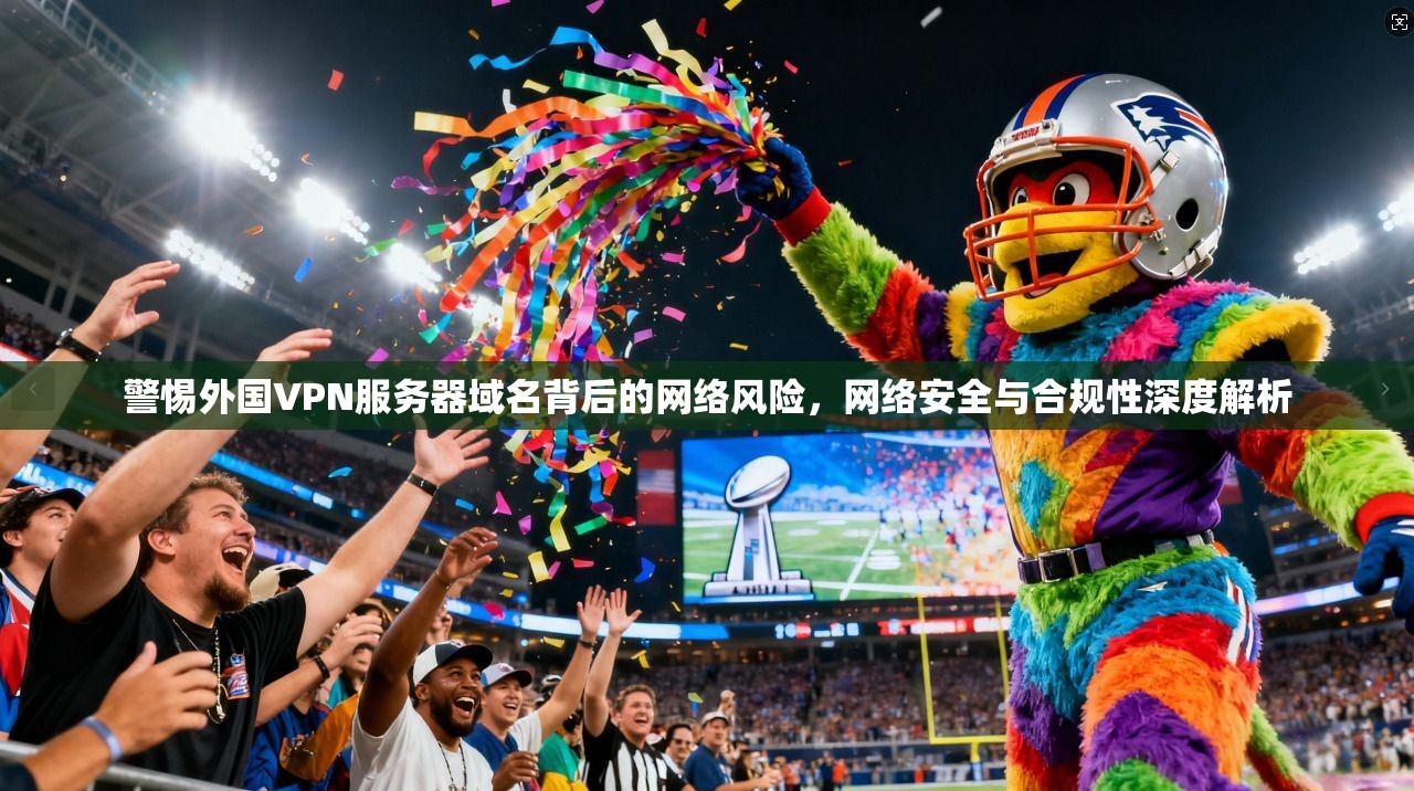 警惕外国VPN服务器域名背后的网络风险,网络安全与合规性深度解析