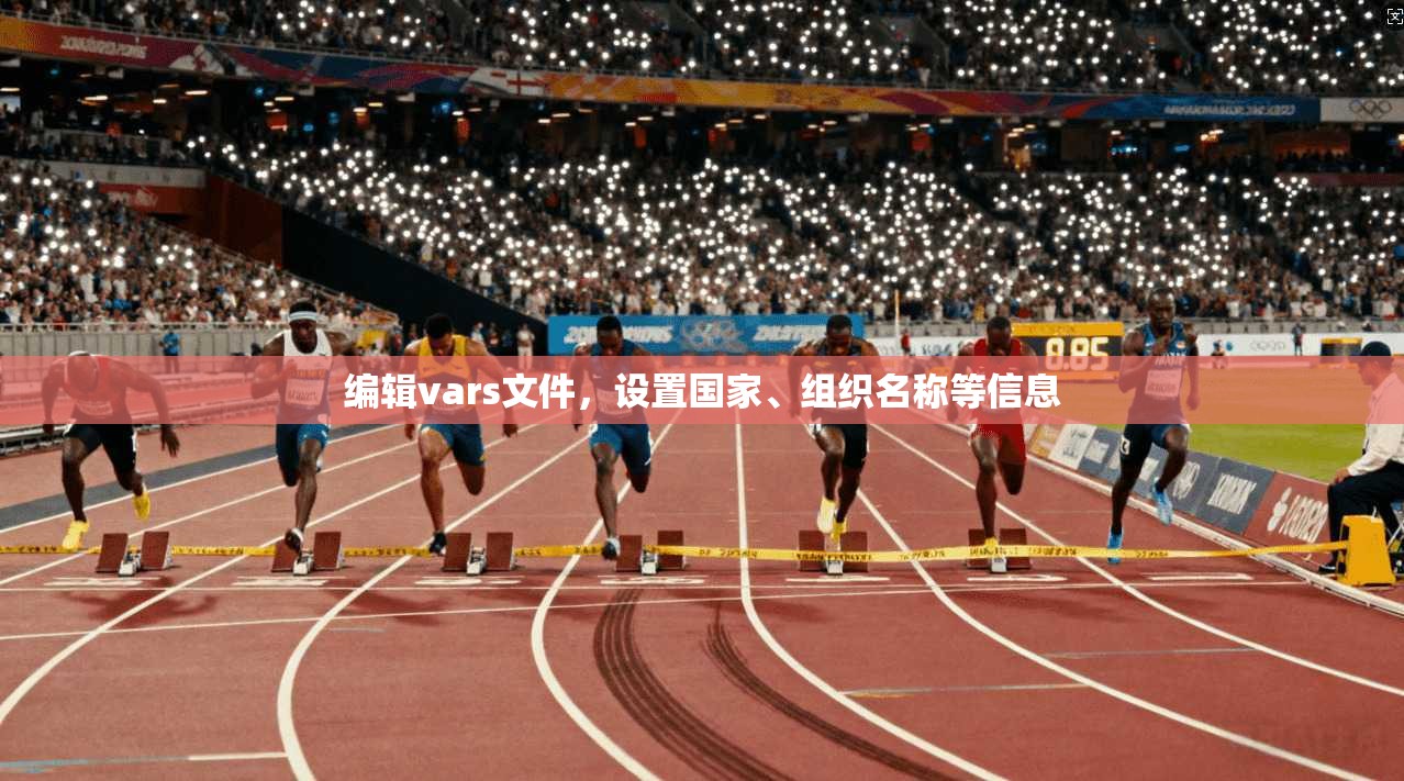 编辑vars文件,设置国家、组织名称等信息