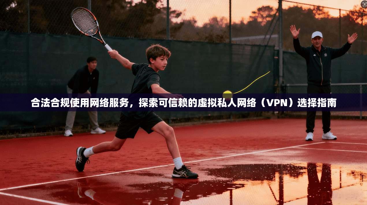 合法合规使用网络服务，探索可信赖的虚拟私人网络（VPN）选择指南