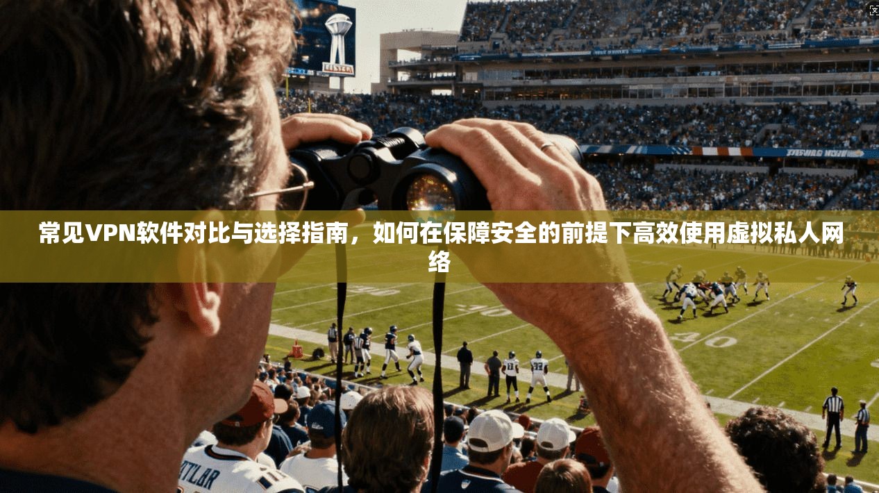 常见VPN软件对比与选择指南，如何在保障安全的前提下高效使用虚拟私人网络
