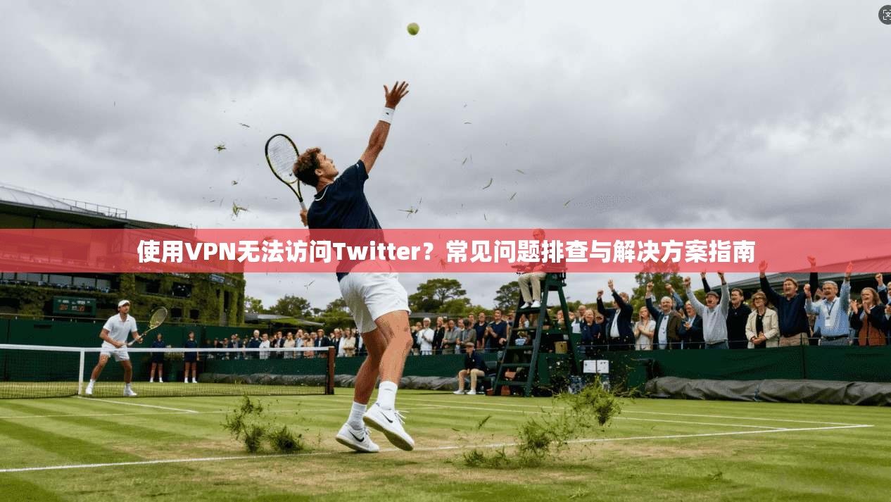 使用VPN无法访问Twitter？常见问题排查与解决方案指南