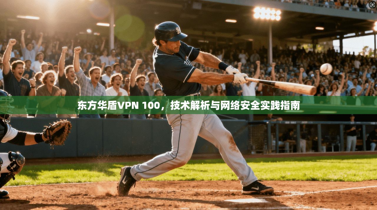 东方华盾VPN 100，技术解析与网络安全实践指南