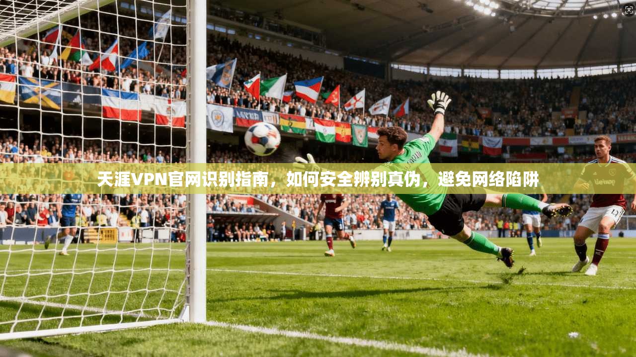 天涯VPN官网识别指南，如何安全辨别真伪，避免网络陷阱