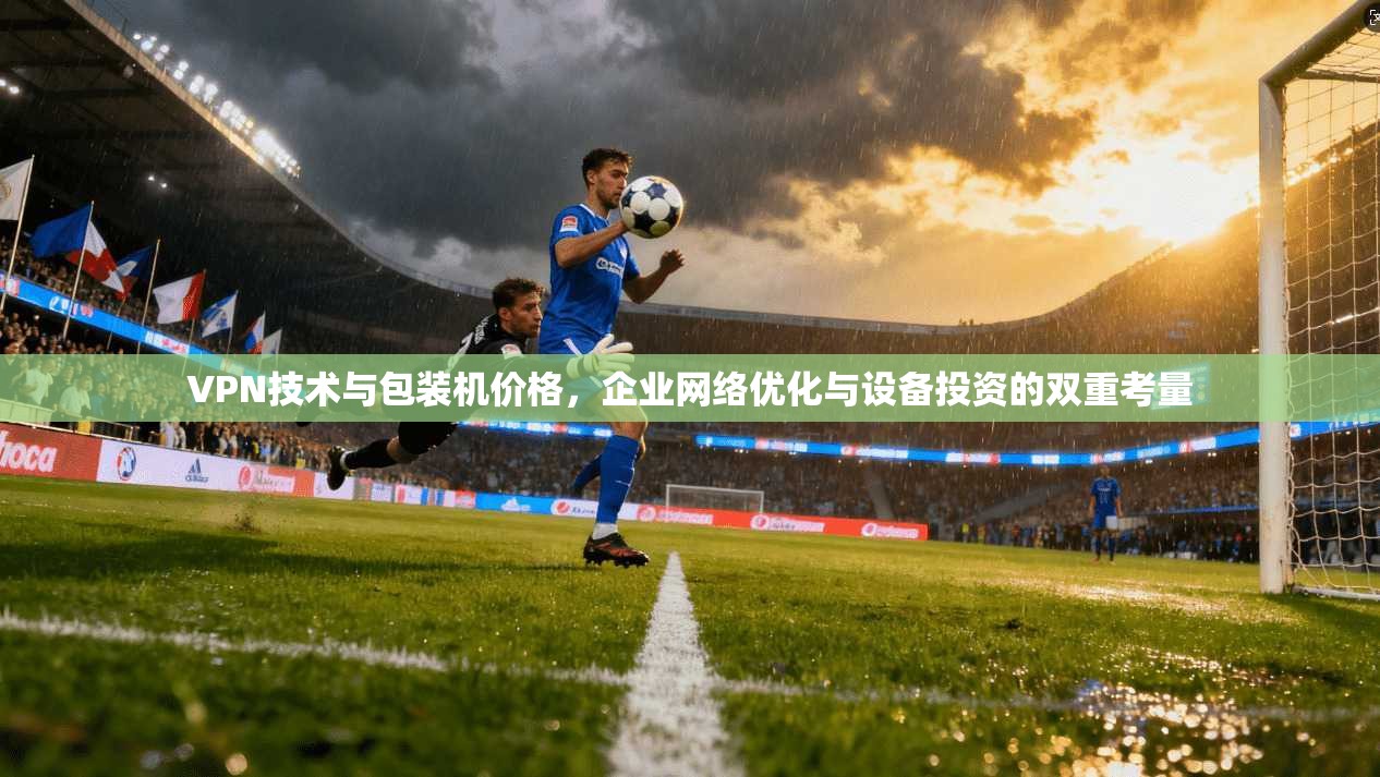 VPN技术与包装机价格，企业网络优化与设备投资的双重考量