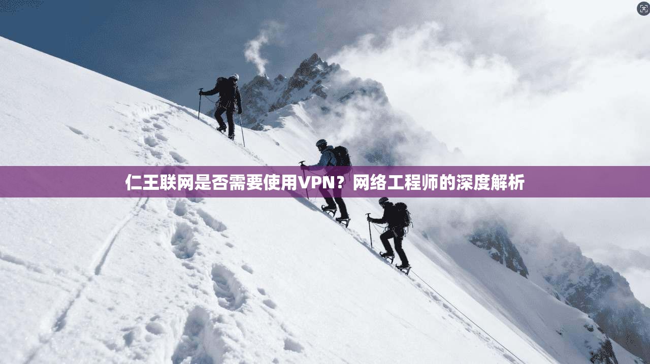 仁王联网是否需要使用VPN？网络工程师的深度解析
