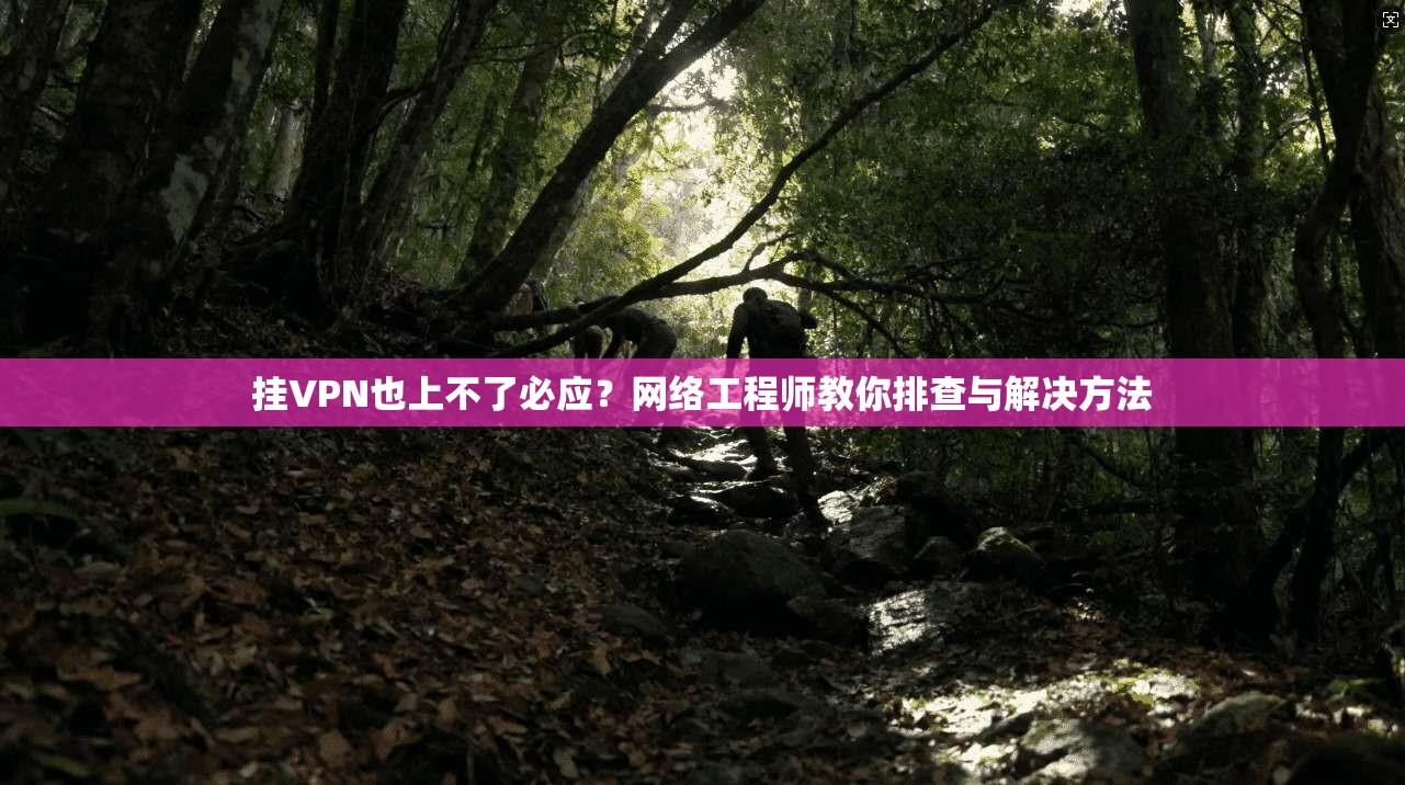 挂VPN也上不了必应？网络工程师教你排查与解决方法