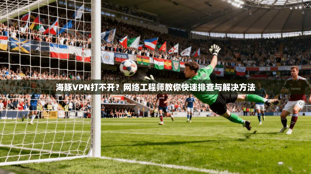 海豚VPN打不开？网络工程师教你快速排查与解决方法