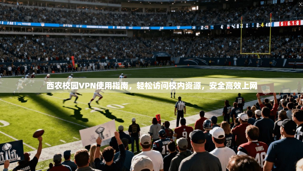 西农校园VPN使用指南，轻松访问校内资源，安全高效上网
