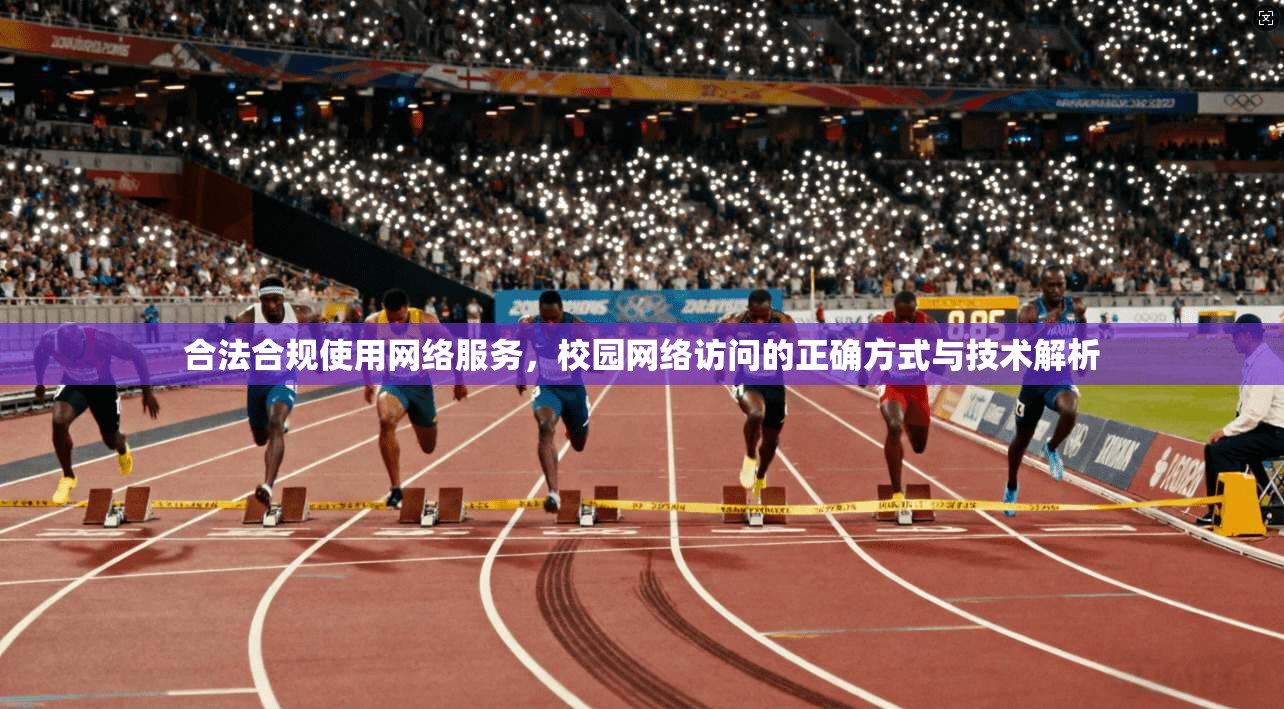 合法合规使用网络服务，校园网络访问的正确方式与技术解析