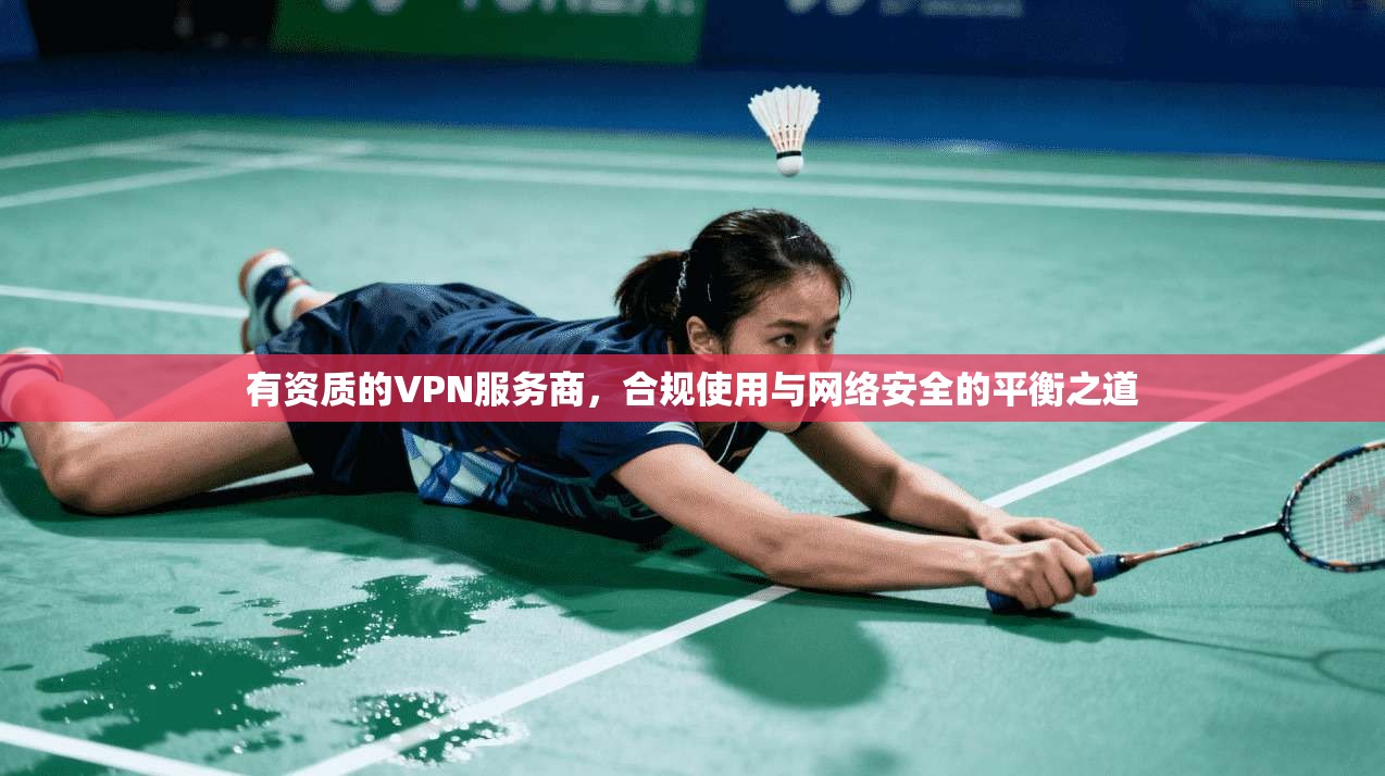 有资质的VPN服务商，合规使用与网络安全的平衡之道