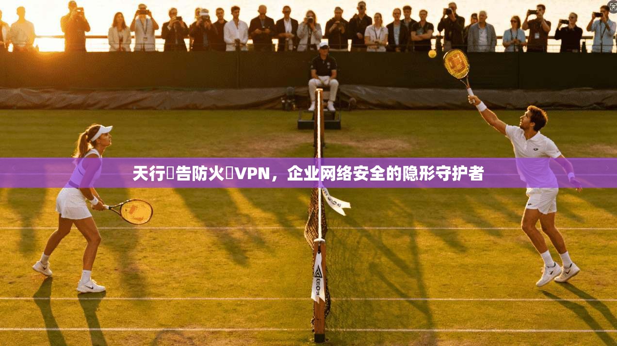 天行廣告防火牆VPN，企业网络安全的隐形守护者