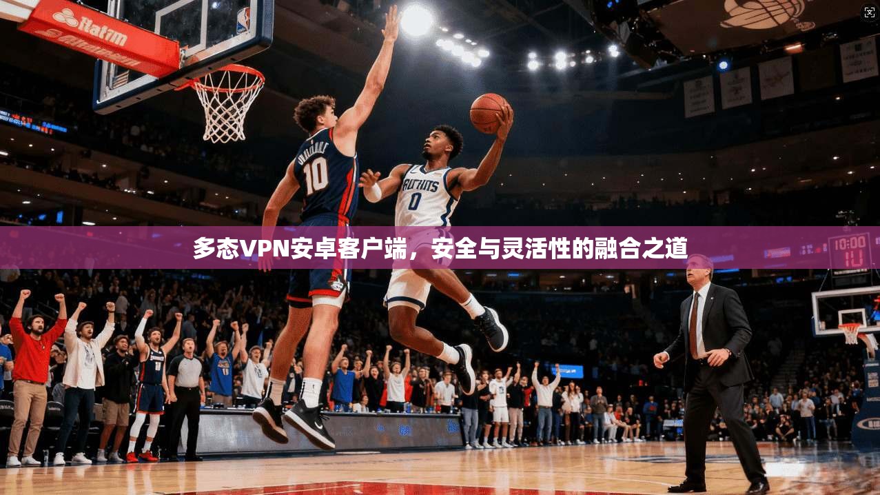 多态VPN安卓客户端，安全与灵活性的融合之道