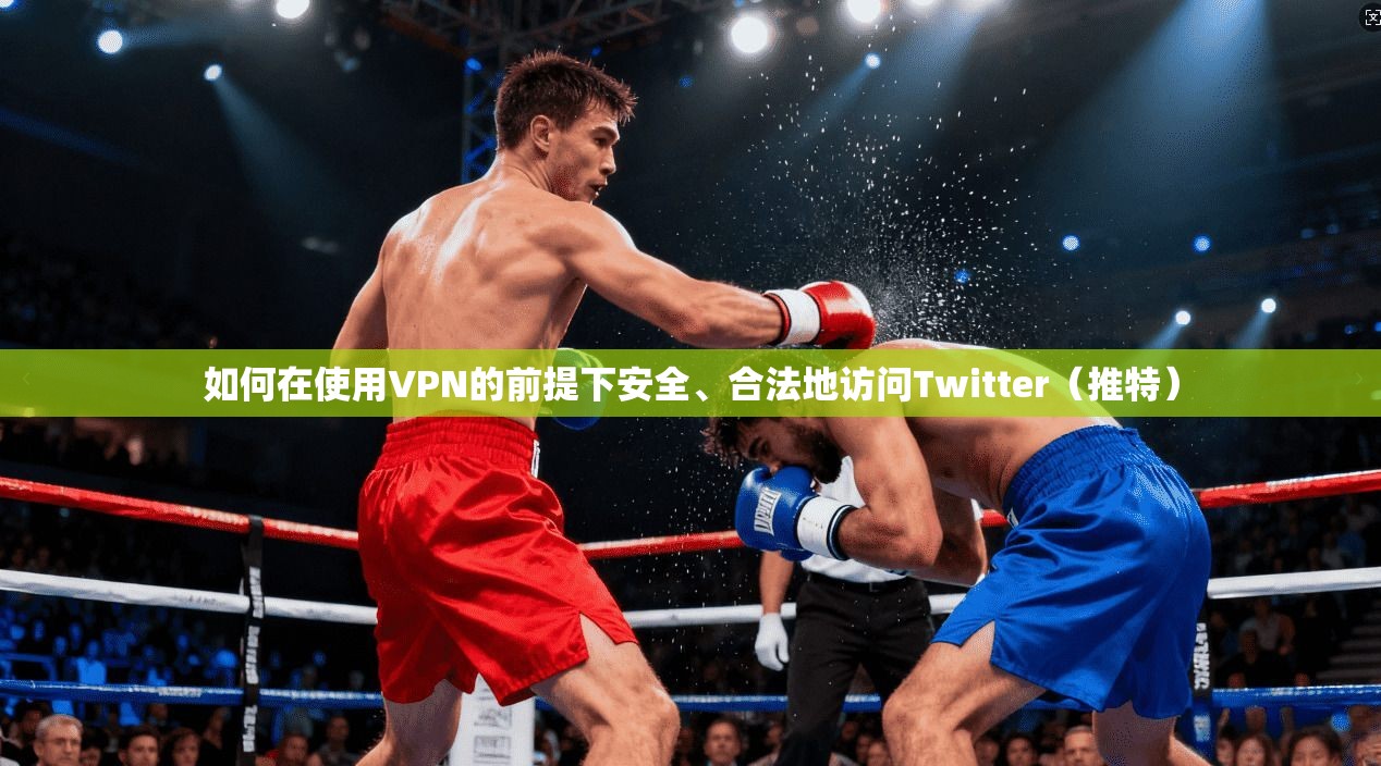 如何在使用VPN的前提下安全、合法地访问Twitter（推特）