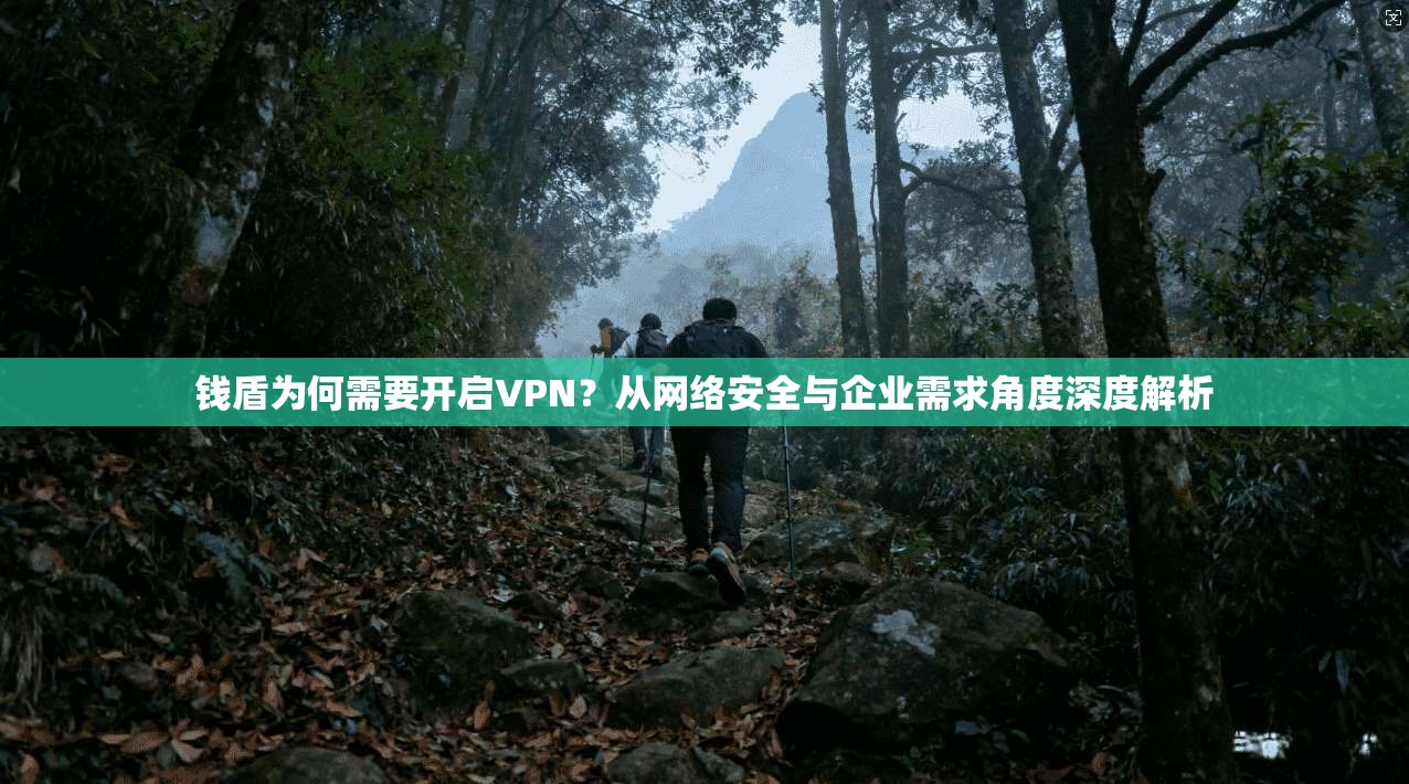 钱盾为何需要开启VPN？从网络安全与企业需求角度深度解析