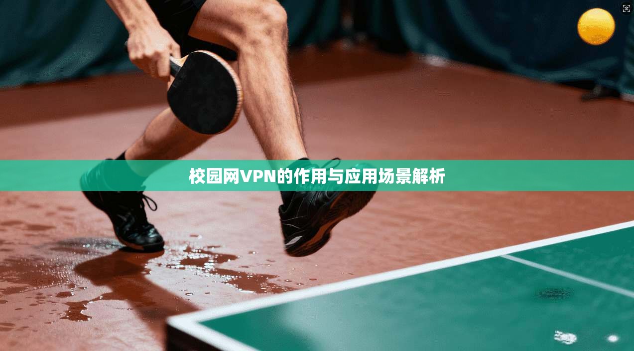 校园网VPN的作用与应用场景解析