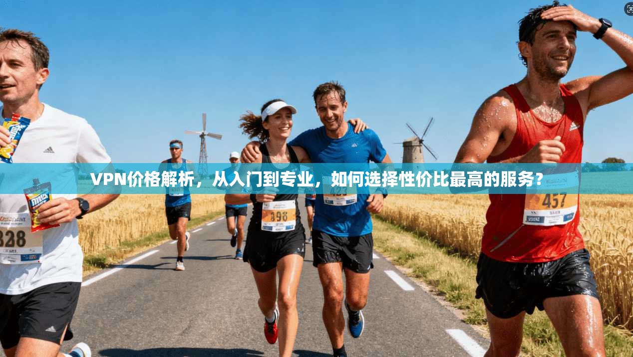 VPN价格解析,从入门到专业,如何选择性价比最高的服务?