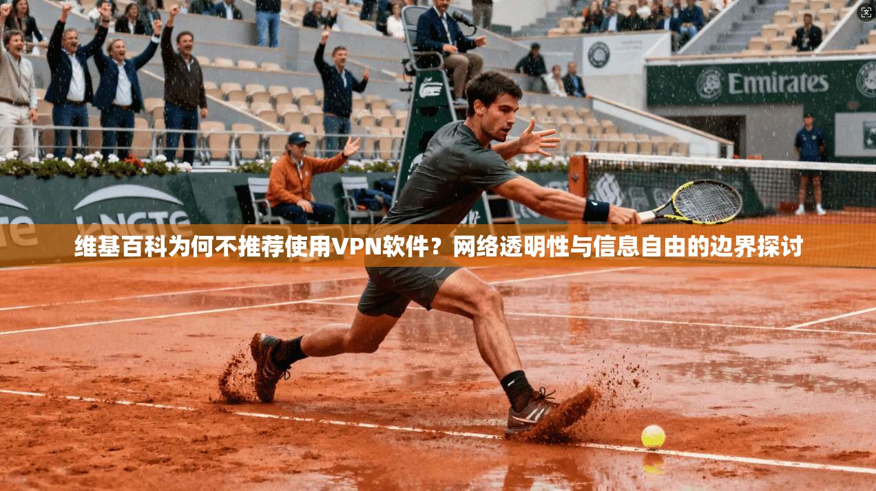 维基百科为何不推荐使用VPN软件？网络透明性与信息自由的边界探讨