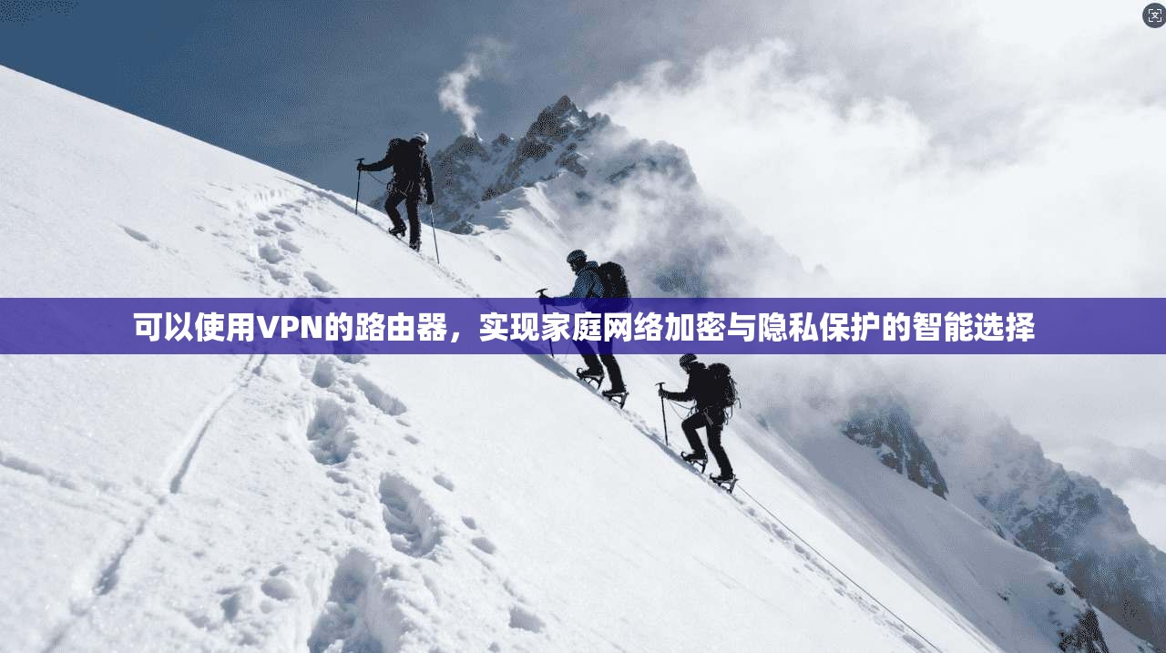 可以使用VPN的路由器，实现家庭网络加密与隐私保护的智能选择