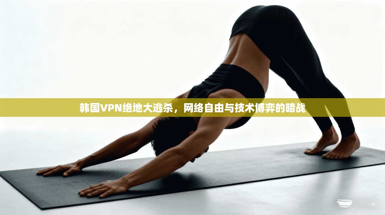韩国VPN绝地大逃杀，网络自由与技术博弈的暗战