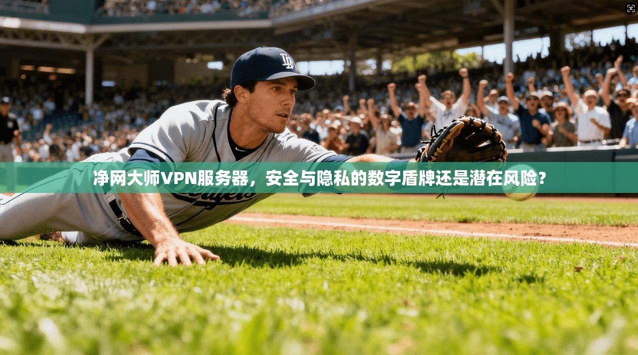 净网大师VPN服务器，安全与隐私的数字盾牌还是潜在风险？