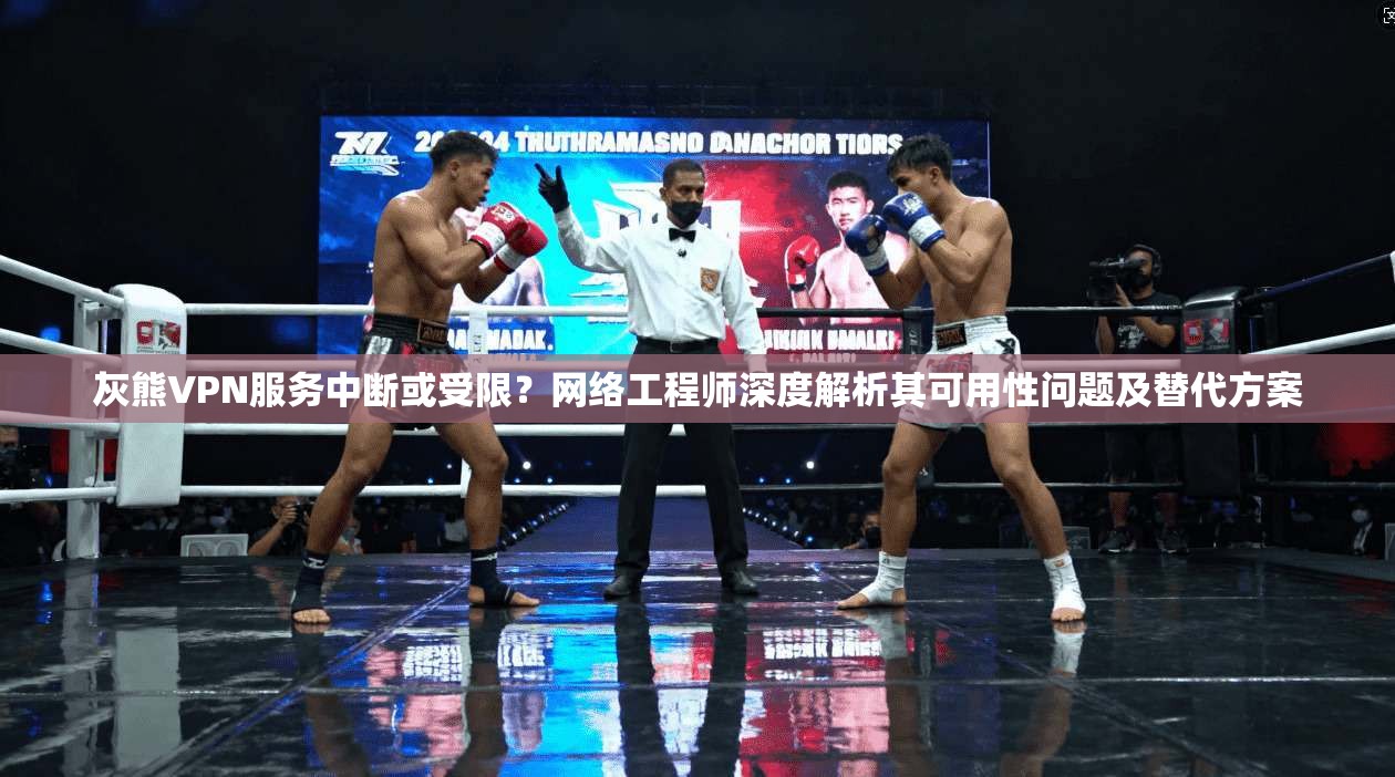 灰熊VPN服务中断或受限？网络工程师深度解析其可用性问题及替代方案