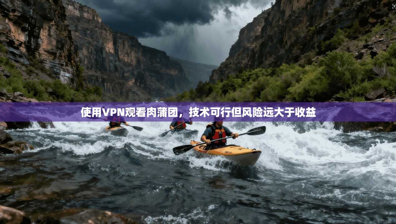 使用VPN观看肉蒲团，技术可行但风险远大于收益